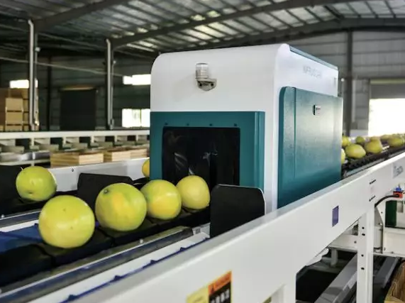 綠萌是柚子分選設備國家高新技術企業，可進行重量、大小、顏色、瑕疵外觀視覺分選，無損檢測糖度，甜度，酸度、空心、浮皮、褐變、果肉損傷、霉心病等內部指標，提供智能全自動蜜柚分選機,蜜柚分選設備,蜜柚選果機,蜜柚選果設備,蜜柚分級機,沙田柚分揀機,柚子大小稱重分選方案和價格