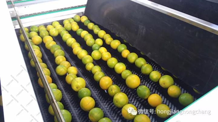 1595216970535739.jpg 微信圖片_20200720114824.jpg