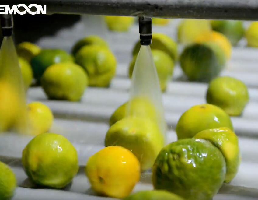 “蜜桔智能分選設(shè)備