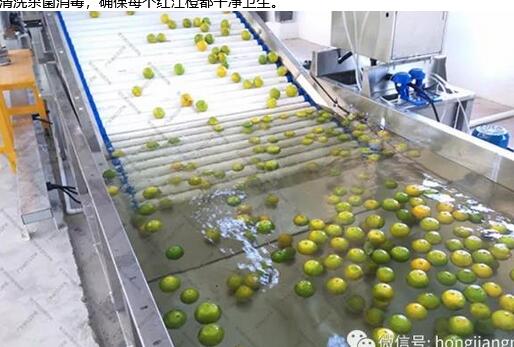 綠萌是紅江橙智能分選設備國家高新技術企業(yè),對紅江橙采后處理提供全套解決方案。綠萌紅江橙分選機可進行大小重量分級、外觀顏色分選、內(nèi)部品質(zhì)糖度檢測。提供全自動紅江橙分選設備,紅江橙選果機,智能紅江橙分選機,全自動紅江橙分選機,紅江橙分級機,小型紅江橙分選機，紅江橙分級機,紅江橙稱重分選機,紅江橙重量分選機,紅江橙大小分選機,紅江橙顏色分選機,紅江橙糖度分選機,配套紅江橙清洗機、紅江橙洗果保鮮機、紅江橙包裝機、紅江橙消毒滅菌殺菌機,紅江橙打蠟機。更多紅江橙分選方案報價,小型紅江橙選果設備價格、紅江橙分級機怎么樣、口碑好質(zhì)量好的紅江橙選果機、了解高性能紅江橙分選機多少錢,咨詢客服免費獲取