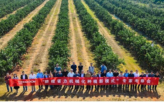 綠萌水果分選設備可進行重量大小分級、顏色、瑕疵外觀視覺分選，無損檢測糖度，甜度，酸度、空心、浮皮、褐變、果肉損傷等內(nèi)部指標檢測，提供智能全自動臍橙分選機,臍橙分選設備,臍橙選果機,臍橙選果設備,臍橙分級機,臍橙稱重分揀機,臍橙大小直徑選果，臍橙采后分選方案和價格