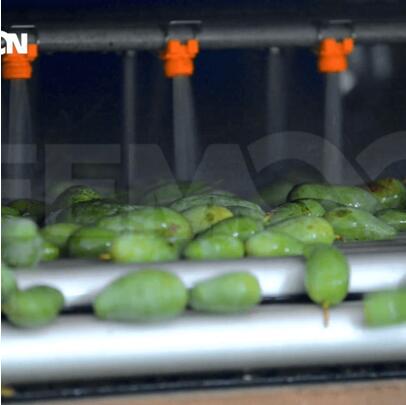 綠萌是芒果智能分選設備國家高新技術企業(yè),對芒果采后處理提供全套解決方案。綠萌芒果分選機可進行大小重量分級。提供全自動芒果分選設備,芒果選果機,智能芒果分選機,全自動芒果分選機,芒果分級機,小型芒果分選機，芒果稱重分選機,芒果重量分選機,芒果大小分選機,芒果顏色分選機,配套芒果清洗機、芒果洗果保鮮機、芒果包裝機。