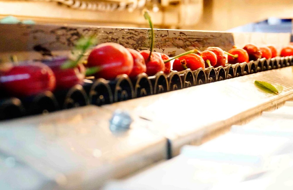 綠萌是大櫻桃智能分選設備國家高新技術企業(yè),對大櫻桃采后處理提供全套解決方案。綠萌大櫻桃分選機可進行大小分級、外觀顏色分選。提供全自動大櫻桃分選設備,大櫻桃選果機,智能大櫻桃分選機,全自動大櫻桃分選機,大櫻桃分級機,小型大櫻桃分選機，大櫻桃大小分選機,大櫻桃顏色分選機,更多大櫻桃分選方案報價,小型大櫻桃選果設備價格、大櫻桃分級機怎么樣、口碑好質(zhì)量好的大櫻桃選果機、了解高性能大櫻桃分選機多少錢,咨詢客服免費獲取