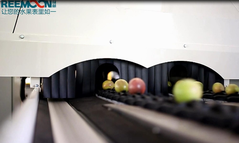 “以色列百香果項目