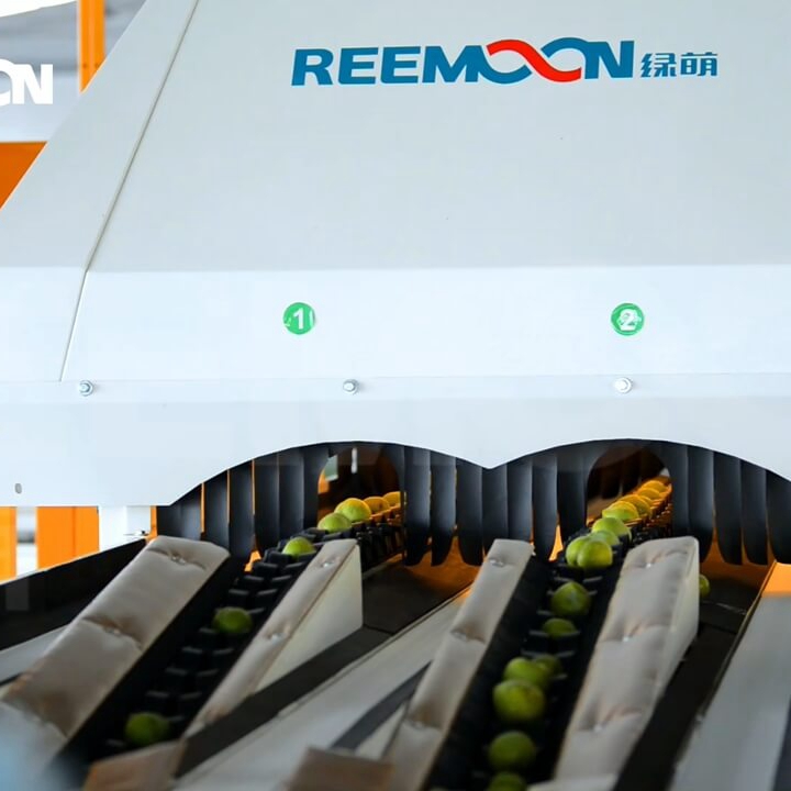 “仙桃李設備成功運行