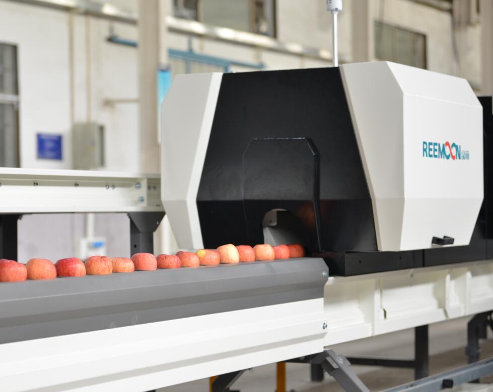 “銅川耀州區首條蘋果4.0智能選果線投入使用