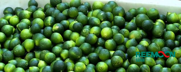 1600854413472526.png 微信圖片_20200923174654.png