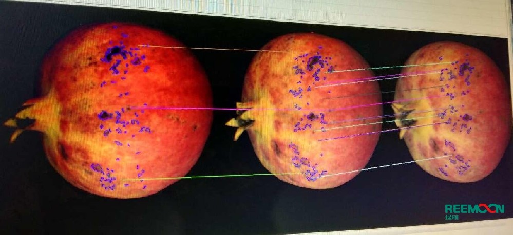 綠萌是石榴智能分選設備國家高新技術企業,對軟籽石榴采后處理提供全套解決方案。綠萌石榴分選機可進行大小重量分級、外觀顏色分選。提供全自動石榴分選設備,石榴選果機,智能石榴分選機,全自動石榴分選機,石榴分級機,小型石榴分選機，石榴稱重分選機,石榴重量分選機,石榴大小分選機,石榴顏色分選機,更多石榴分選方案報價,小型石榴選果設備價格、石榴分級機怎么樣、口碑好質量好的石榴選果機、了解高性能石榴分選機多少錢,咨詢客服免費獲取