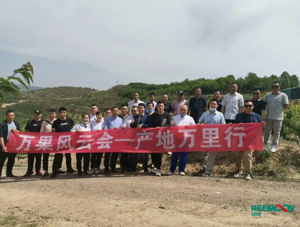 綠萌自動化櫻桃分選設備亮相甘肅天水引起各界廣泛關注 5月29日，綠萌櫻桃自動化分揀生產(chǎn)線在甘