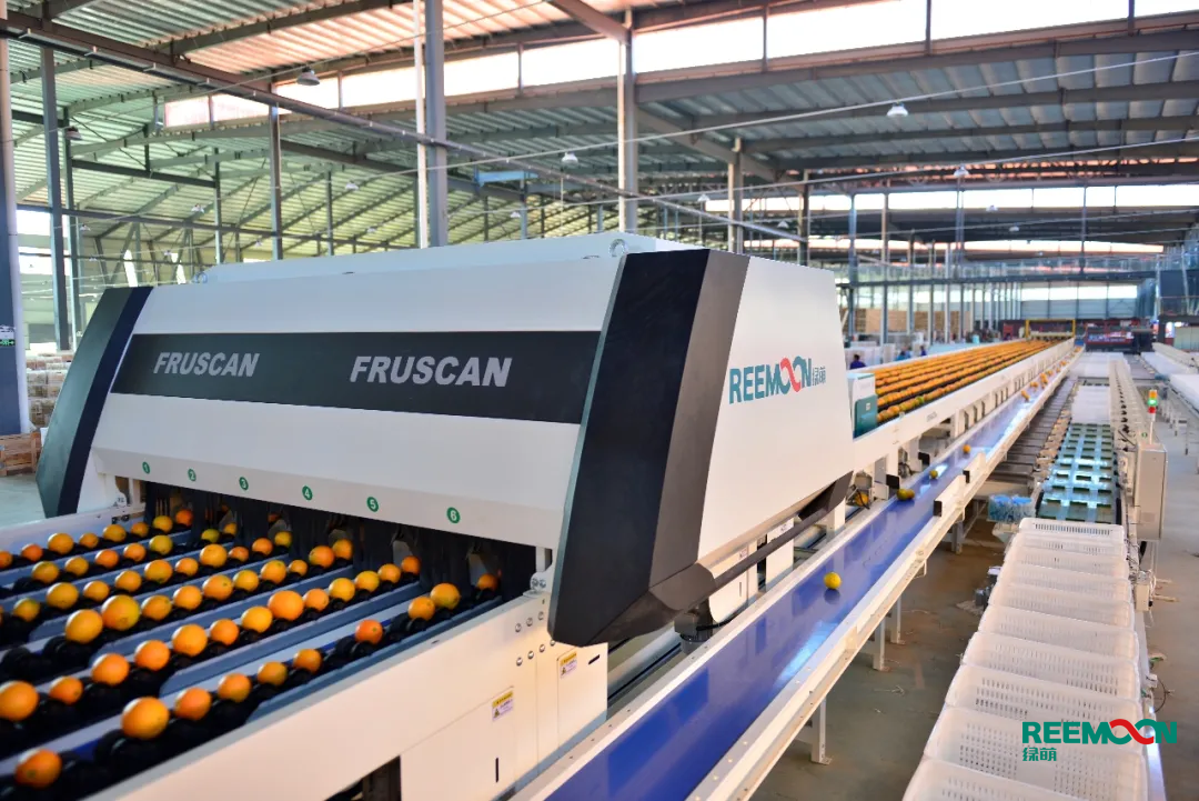 1602556938834273.png 30A088FD-72D6-40e0-8315-E6DB8F39C75E.png