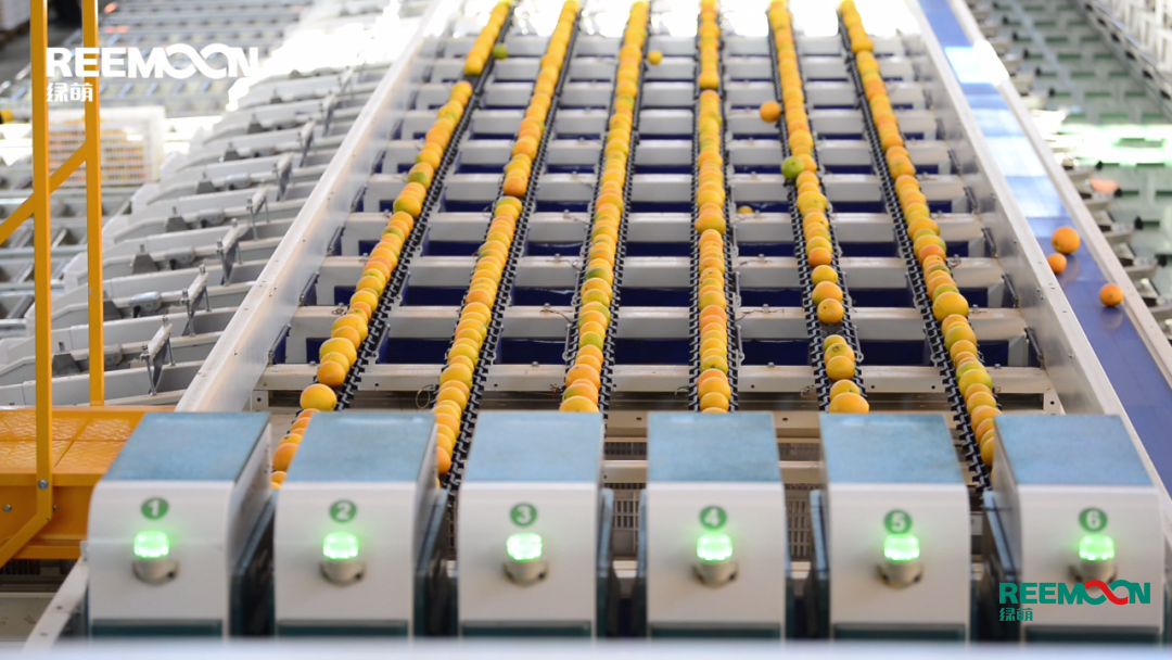 1602556973131047.png E12E7D29-CE9A-4416-9ADC-7506CBC82FFE.png