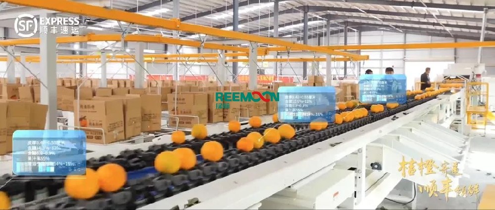 選擇順豐，享受它的“橙色”當(dāng)柑橘產(chǎn)量大增時(shí)，如何更好更快地向消費(fèi)者提供美味的水果，實(shí)現(xiàn)創(chuàng)收，已經(jīng)成為果農(nóng)和貿(mào)易商的主要關(guān)注點(diǎn)。順豐快遞以一貫的優(yōu)良品質(zhì)，全方位布局柑橘產(chǎn)業(yè)鏈的物流服務(wù)，將湖北、重慶、廣西、江西、湖南、四川等地的柑橘配送到全國市場，讓果農(nóng)和果商享受到自己的柑橘，不用擔(dān)心物流！全套