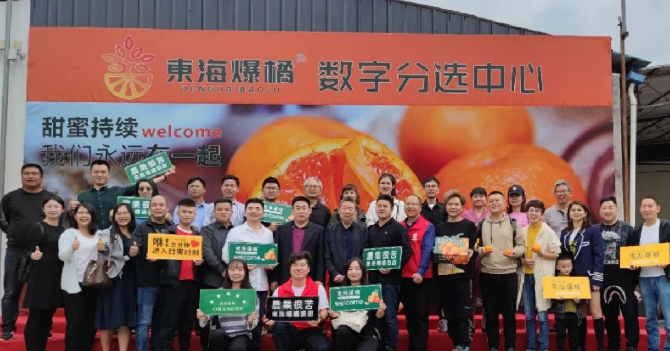 東海爆橘建立綠萌數(shù)字分選中心一陣果汁，細(xì)膩無渣，這橘子臉皮很薄，脾氣“爆”！每年秋冬季節(jié)，市場上各種各樣的橘子層出不窮，有些是黃澄澄的，有些是紅色的，讓人一看就喜歡，每年都買回來。貪心的時(shí)候找到一個(gè)，手里冰涼。我迫不及待地把它剝下來，迅速放進(jìn)嘴里。那一刻橙汁從我的喉嚨滑落，整個(gè)秋冬的干燥被