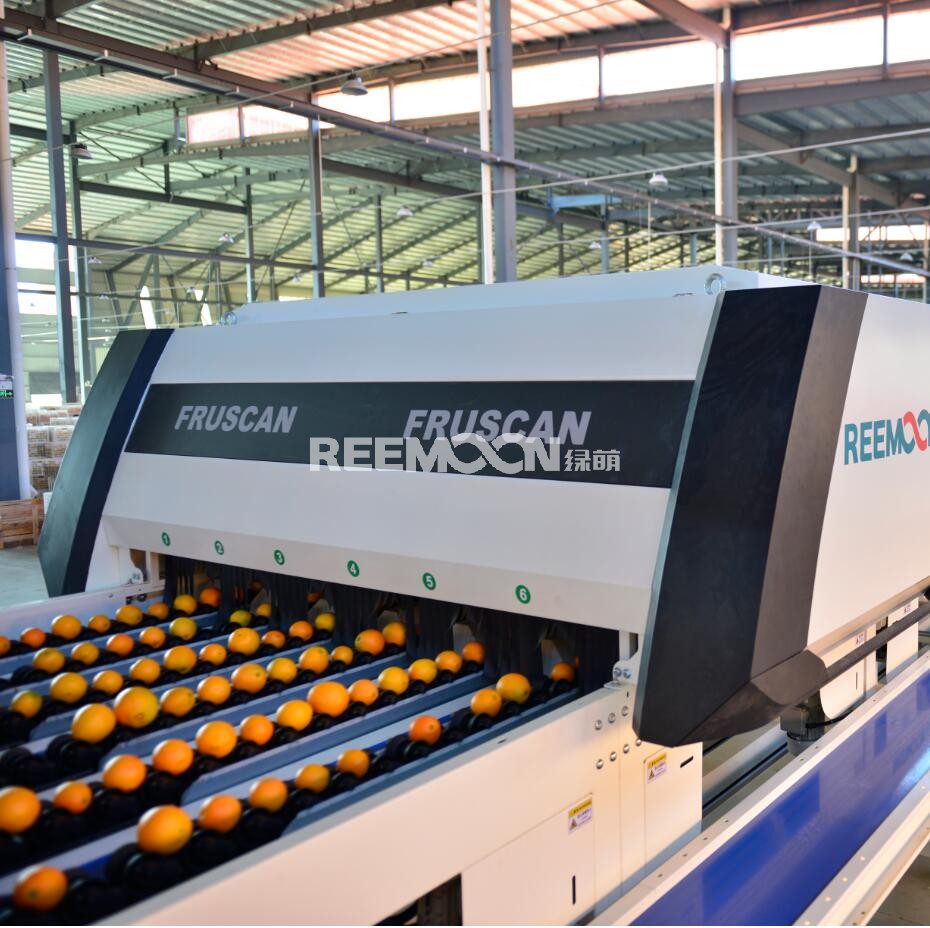 1611731606850063.jpg QQ截圖20200807143254.jpg