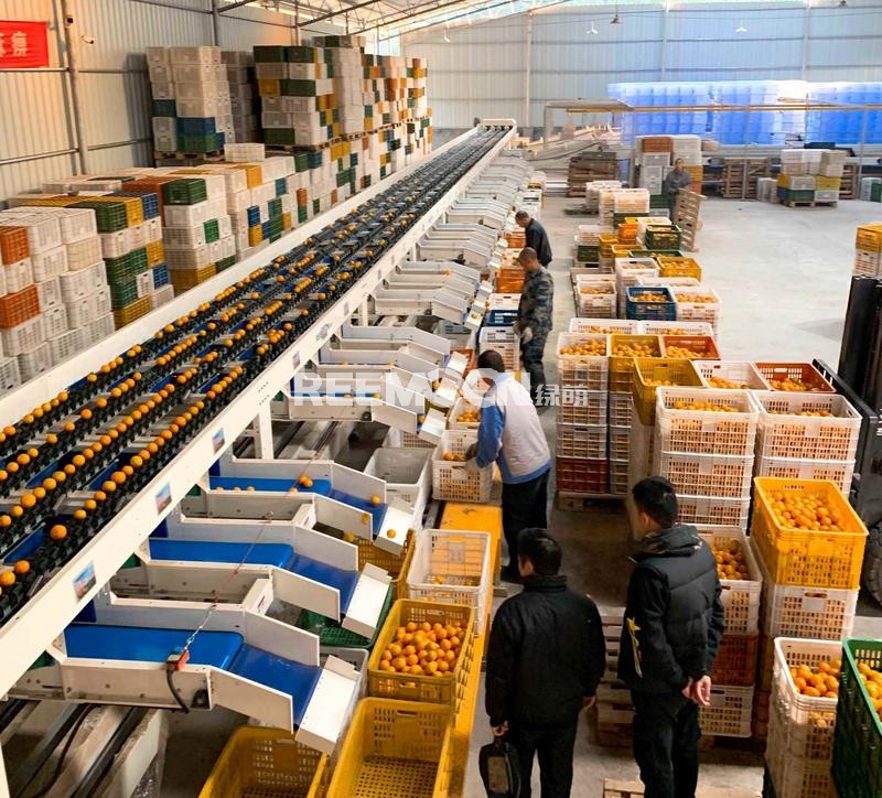 記者今天從韶關(guān)市仁化縣了解到，廣東省農(nóng)業(yè)農(nóng)村廳、海關(guān)總署廣東分署公布《關(guān)于公布2020年廣東省農(nóng)產(chǎn)品出口示范基地名單（第二批）的通知》，韶關(guān)金喆園生態(tài)農(nóng)業(yè)有限公司仁化縣水果種植基地、仁化縣橘頌生態(tài)農(nóng)業(yè)有限公司仁化縣柑橘種植基地入選為2020年廣東省農(nóng)產(chǎn)品出口示范基地，獲頒發(fā)“廣東省農(nóng)產(chǎn)品出口示范基地”牌匾，