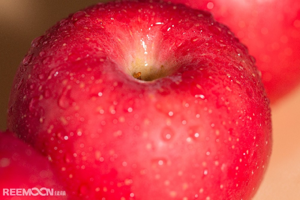 根據(jù)中國海關(guān)數(shù)據(jù)顯示，2020年我國出口鮮蘋果105.8萬噸，同比增長9%，出口額14.5億美元，同比增長16%。按出口量排序，我國鮮蘋果出口至各國數(shù)量前五位分別是：孟加拉國17.9萬噸，出口額1.8億美元；菲律賓16.8萬噸，2.1億美元；越南16.0萬噸，3.2億美元；泰國13.7萬噸，2.1億美元；印度尼西亞13.4萬噸，1.7億美元。出口至以上