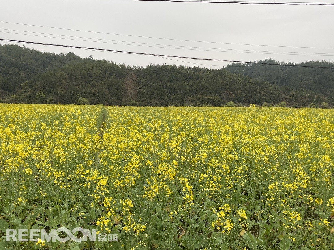 1615347547725018.jpg 三八婦女節2.jpg