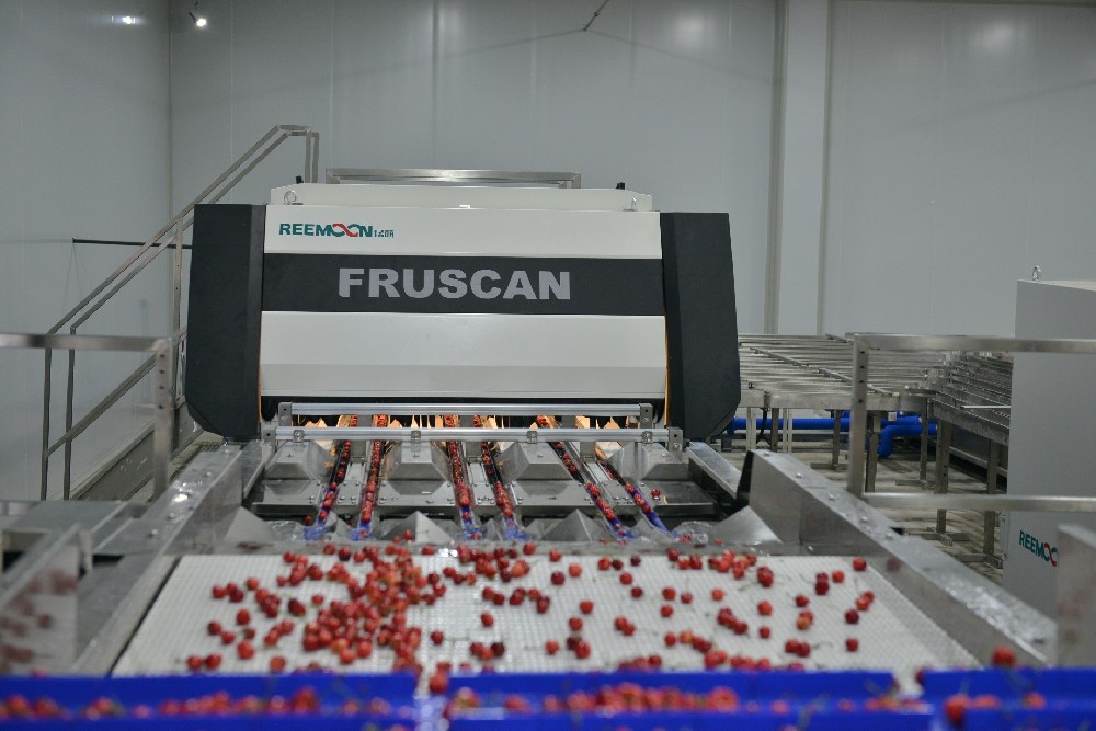 6月7日，金禾天潤農業科技集團(以下簡稱：金禾天潤)大櫻桃數字分揀中心正式運營，金禾天潤大櫻桃全自動化分選系統上線啟用。 據介紹，這套大櫻桃全自動化分選系統是目前國內最大規模的全自動化櫻桃分選系統。整套分選系統分為上料清洗、光學檢測系統分選區、吹氣式卸果、輸出通道、包裝溯源等五個部分。每小