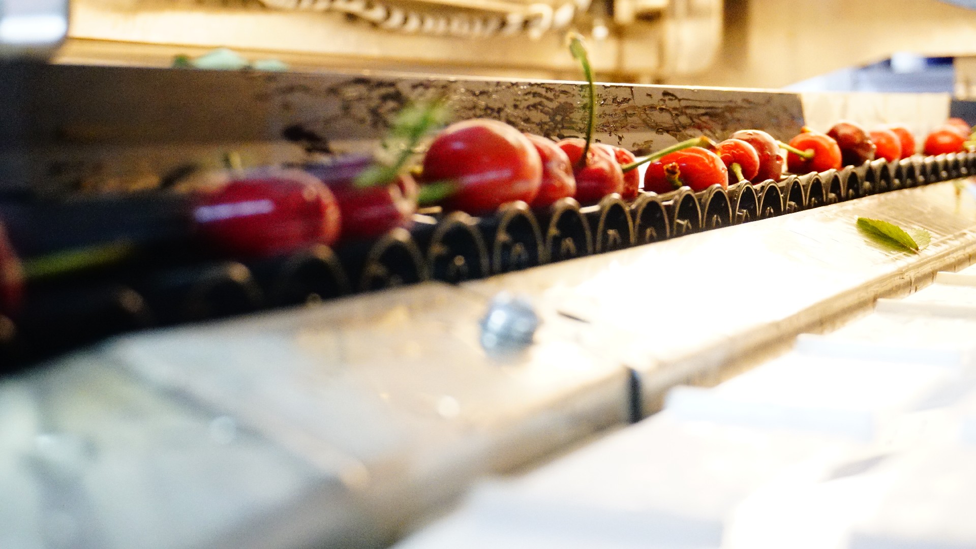 1624325754472895.jpg 煙臺櫻桃.JPG