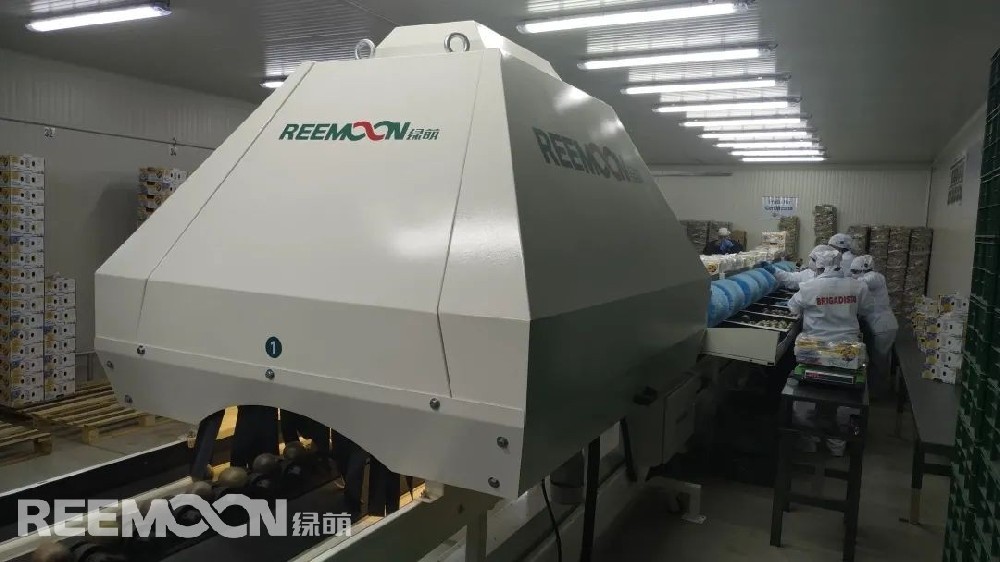 近日，江西綠萌科技控股有限公司在哥倫比亞的第一條自動分選線正式投入運營。綠萌南美區張經理接受了全球果蔬網的采訪。張經理首先對這條分選線做了介紹?！斑@是一條單通道、高性能的分選設備?？梢詫崿F對百香果及牛油果的分選。分選線具有重量分級、大小分級、形狀分級、顏色分級四種功能。根據客戶需求，各功能可以單獨使