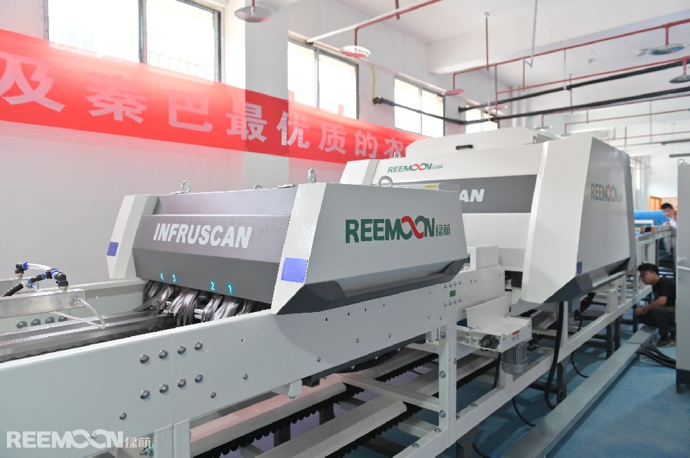 巫山脆李是政府的扶貧項目，巫山縣將“巫山脆李”定位為優化農業結構、提升農業效益、促進貧困戶脫貧致富的山地特色主導產業之一，進行重點打造，采取了一系列措施，如規模化種植、品種研發、引進精深加工等。據巫山網報道，截止去年，巫山縣脆李種植28萬畝，種植戶達5萬余戶，其中貧困戶9108戶。巫山脆李品牌價值達19.18億