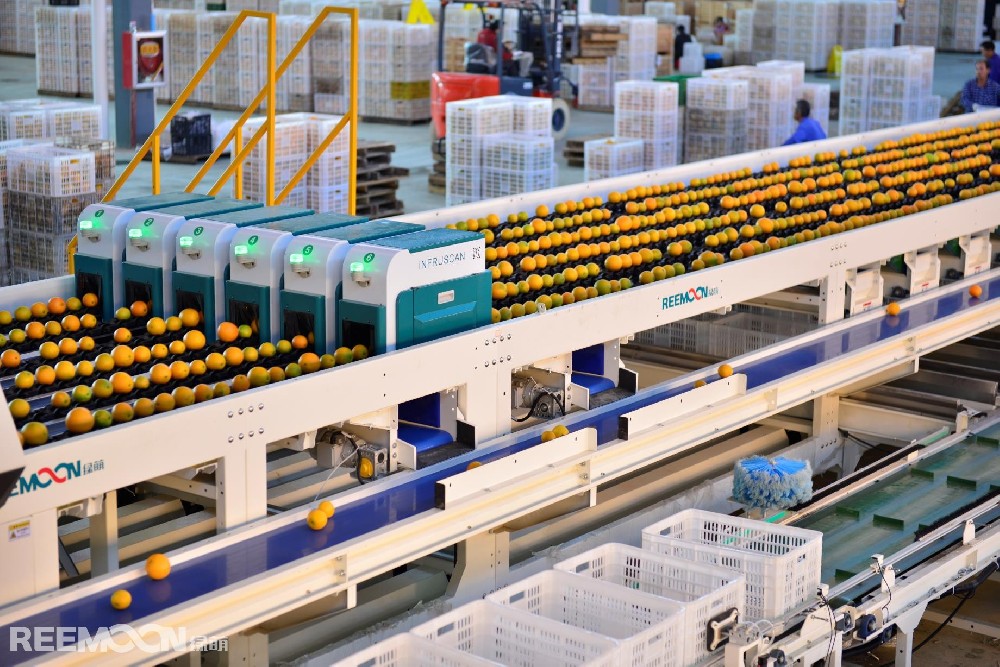 據央視網消息，隨著盛夏的來臨，西瓜、荔枝、桃子等夏季水果均進入上市高峰期，水果供應數量充足、品種豐富。全國水果價格逐步季節性下降。圖來源于網絡全國水果價格季節性下降是什么原因？據農業農村部農產品市場預警團隊水果首席分析師趙俊曄表示，現在水果進入季節性供給高峰，品種多，葡萄、李子、龍眼也將在7月份大量上