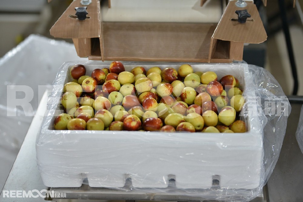 科技創新帶來了農業發展的新時代，科技成為農業振興的翅膀，使農業結構優化，效益提升，農民的致富路也變得一路順暢。大荔縣將冬棗作為強農富民的支柱產業大力培育和發展，全縣冬棗栽植面積和產業規模與效益逐年擴大，發展勢頭良好。截止去年，大荔縣冬棗種植面積達42萬畝，2019年產量突破50萬噸，產值50億元，品牌價