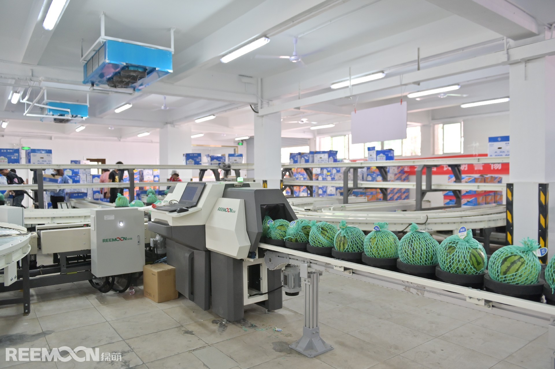 1626852925172836.jpg 內部品質分選.JPG