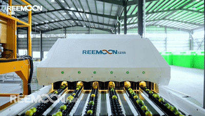 蜜桔色相艷麗，香氣濃烈，甜酸適度，深受消費者喜愛，華寧蜜桔成熟期早、品質好，因此暢銷國內外。目前，華寧縣正在積極探索如何讓蜜桔產業規模更大、品牌知名度更強，帶動更多富余人員的就業，幫助村民脫貧致富奔小康。華寧縣大力支持蜜桔產業的發展，多家蜜桔產業的發展正方興未艾，新村柑橘有限責任公司（以下簡稱“新村