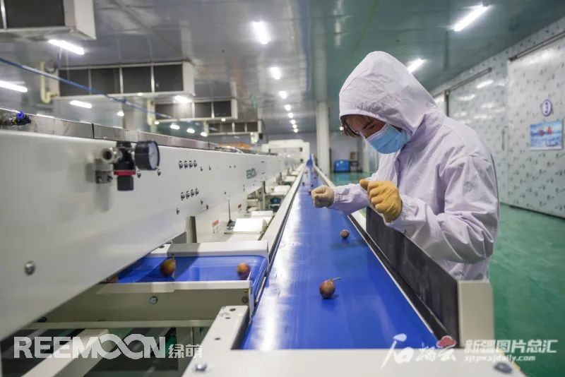 1630488761124715.jpg 1.jpg