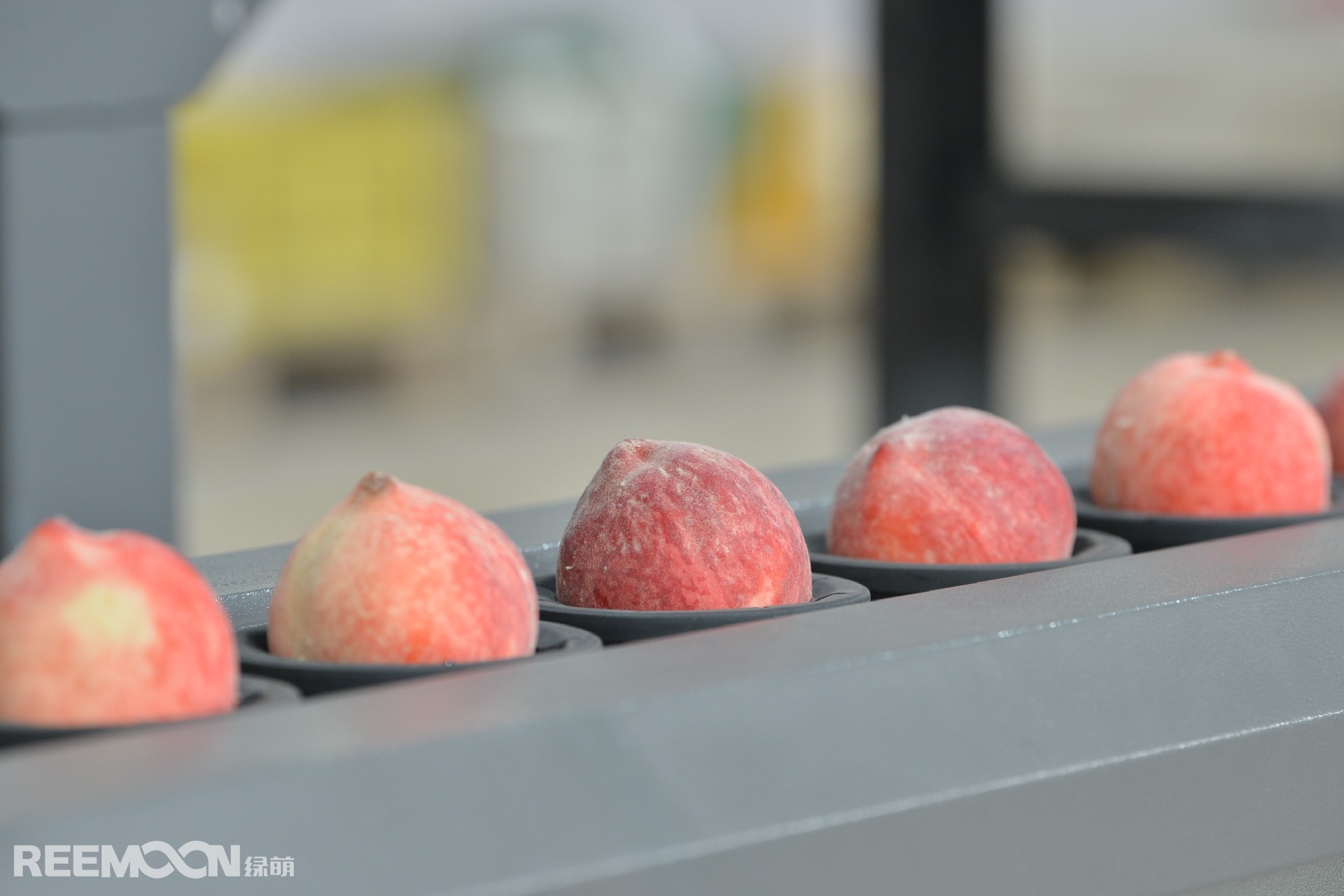 1634869317792829.jpg DSC_2640.JPG