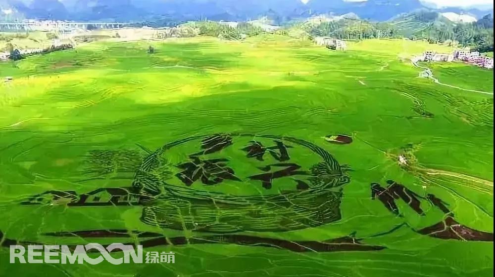 1639098707862414.jpg 3.jpg