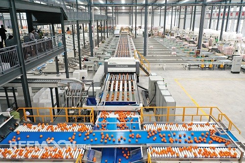 我國(guó)雖然是水果生產(chǎn)和消費(fèi)大國(guó)，但水果產(chǎn)業(yè)在過(guò)去并沒(méi)有被重視，許多水果從業(yè)人員對(duì)此應(yīng)該是深有體會(huì)，包括知名水果品牌百果園董事長(zhǎng)余惠勇也曾在演講中感慨，水果產(chǎn)業(yè)的重要性在中國(guó)沒(méi)有得到應(yīng)有的重視。隨著社會(huì)經(jīng)濟(jì)的發(fā)展，如今水果產(chǎn)業(yè)在國(guó)民經(jīng)濟(jì)中已經(jīng)占據(jù)越來(lái)越高的地位。如今再來(lái)看水果產(chǎn)業(yè)，又會(huì)有新一番的感受，尤