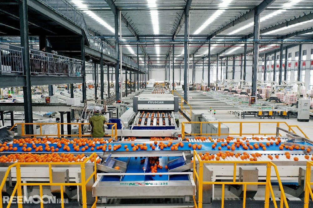 冬至前后，貢柑吃個夠！吃貨阿力踩點購入數箱德慶特級貢柑，“10元一個的特級德慶貢柑果然與眾不同，比大小、論顏值、拼口感，都是一流”，阿力直言。從今年7月開始，德慶縣就系統部署貢柑營銷，成為全省率先啟動“12221”市場體系建設工作的柑橘縣域之一。經過半年蓄力，致力于規模化、標準化、品牌化、高質化發展的德慶貢