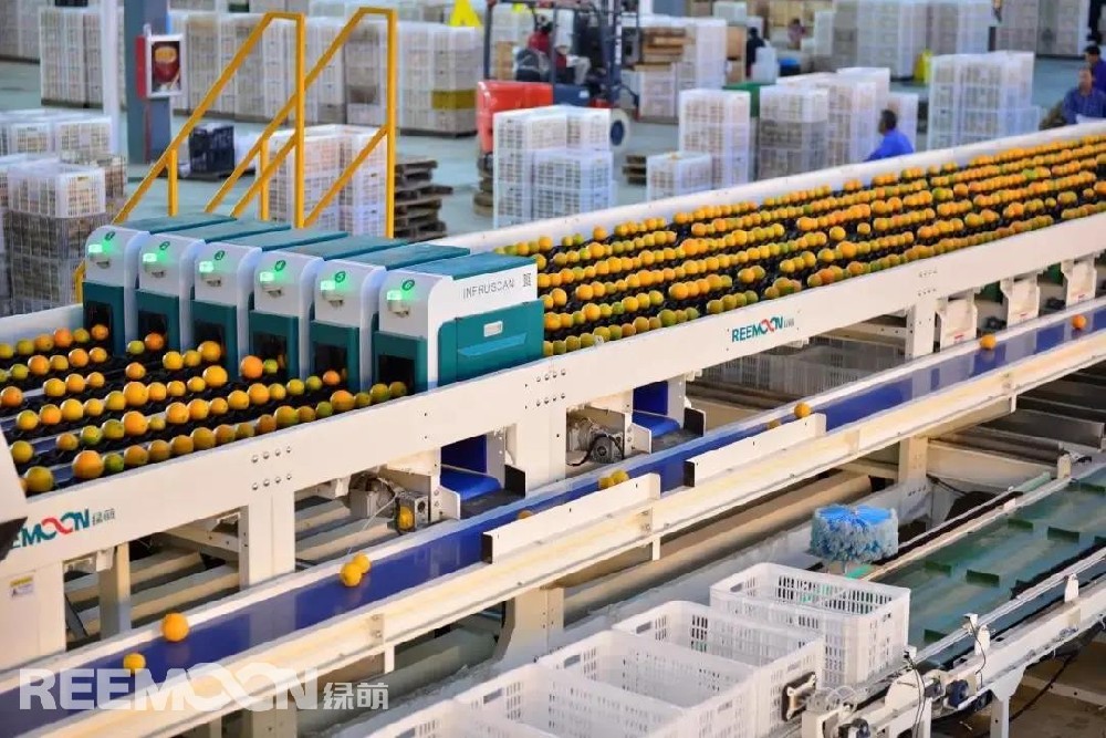 如何降本增效,一直是企業最為關注的話題。食材損耗高、人工成本高、信息化程度低、賣價低、品質參差不齊等依然是農產品市場的痛點。如何消除這些痛點？企業又如何數字化轉型升級？這些問題一直困擾著我們......下面將帶大家一起了解一下江西綠萌科技控股有限公司，他是如何賦能企業轉型升級，通過GLOBALGAP（歐盟良好農業規