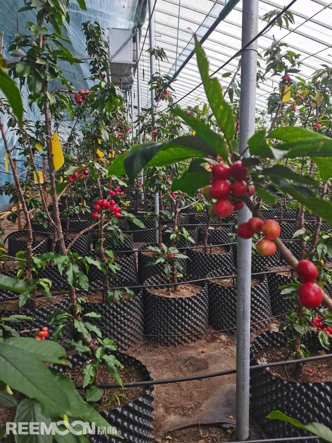 1642819829960323.jpg 2.jpg