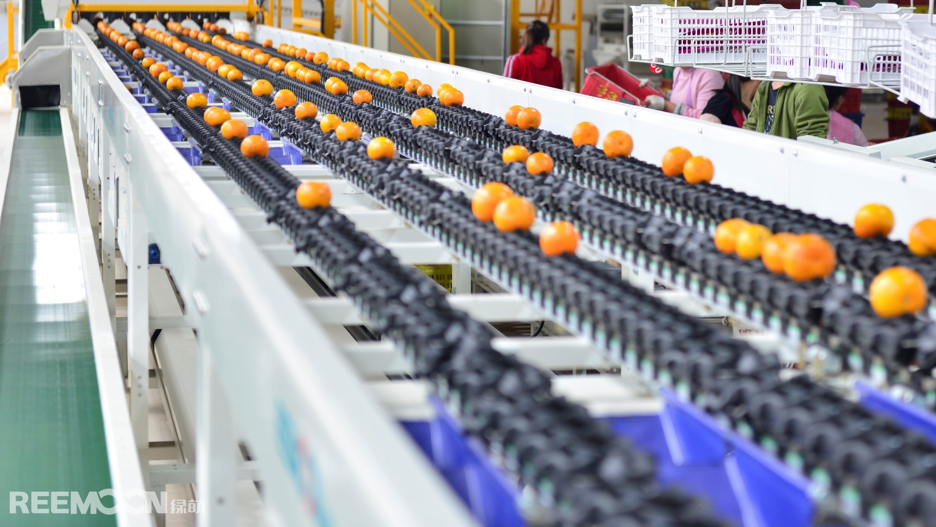 1642823744206039.jpg 55555555.jpg