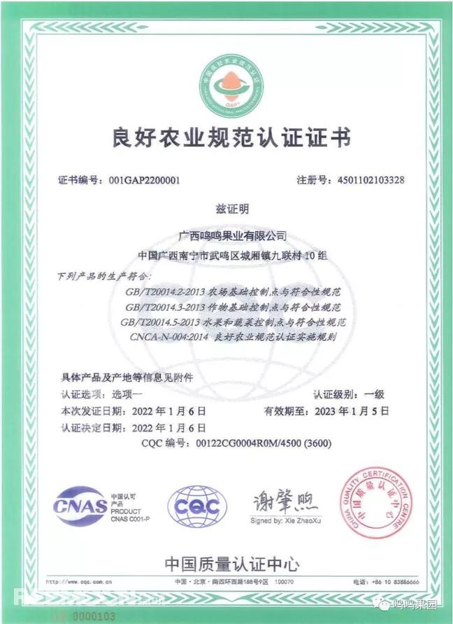 1642824215783457.jpg 5.jpg