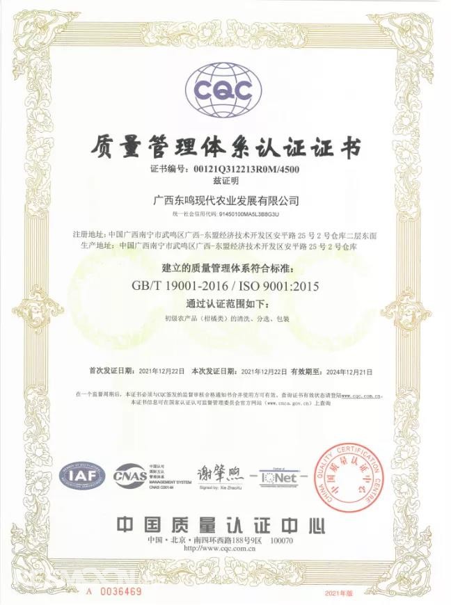 1642824244777431.jpg 6.jpg