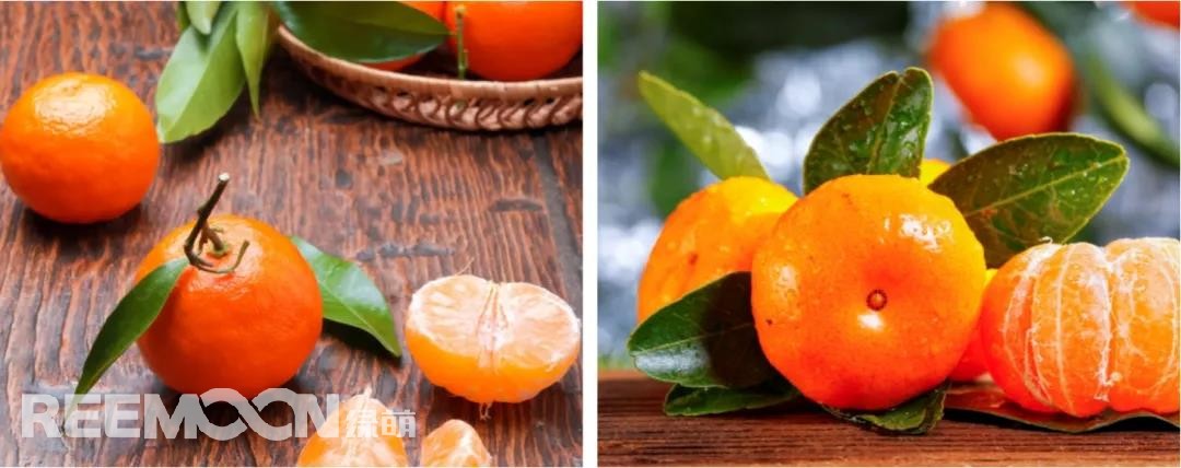 1642824484377707.jpg 13.jpg