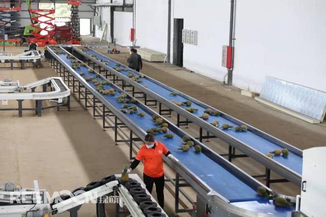 1646988975106724.jpg 5.jpg