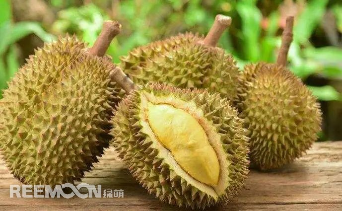 1652516400553237.jpg 2.jpg