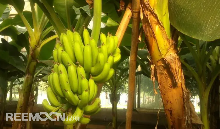 1652516562200970.png 5.png