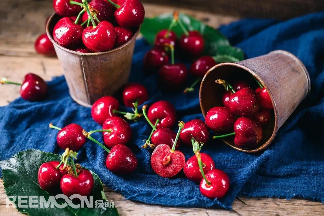 1653441446388989.jpg 1653441446388989.jpg