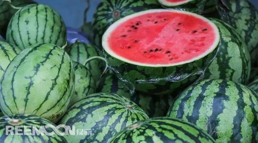 1653444352657853.jpg 7.jpg