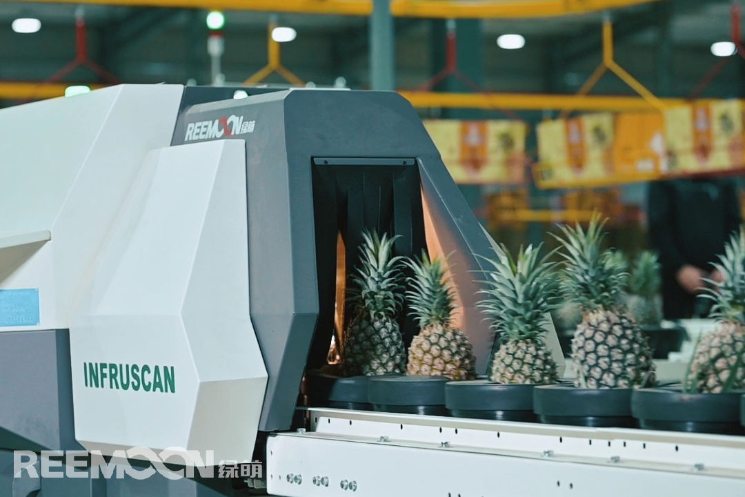 1654487777131633.png 內部品質檢測.png