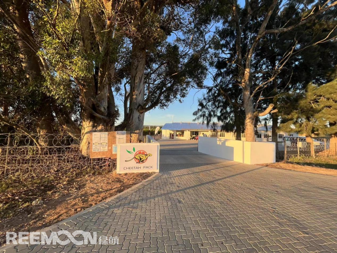 1655976253112628.png 1.png