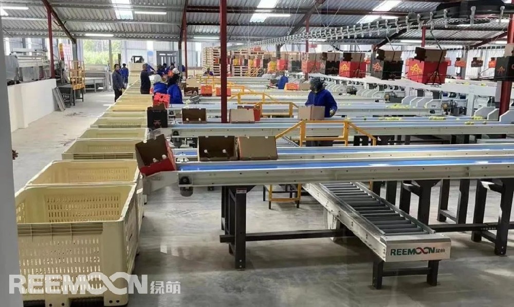 南非時間6月17日18:30，金豹果業基地屬下的金豹包裝廠舉行了隆重的開業典禮，經歷整整6年的籌備，金豹包裝廠終于在一眾嘉賓的關注下迎來它的“處女秀”。金豹果業基地運營經理內維爾·史密斯（Neville Smith）、博達果業（香港）有限公司代表皮爾尼夫·施密特（Pierneef Smit）出席了典禮并發表致辭，金豹果業的姐妹公司南非