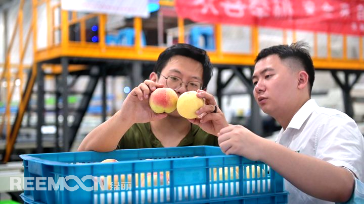 1656919904702868.png 4.png