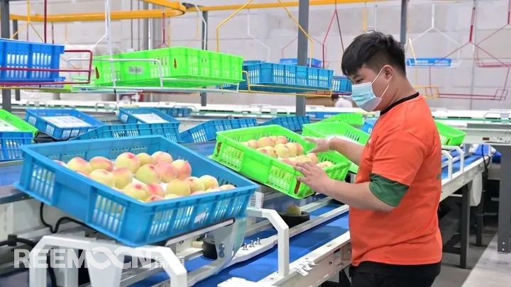 1656920030791314.jpg 8.jpg